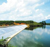 cooking-with-dr-pepper